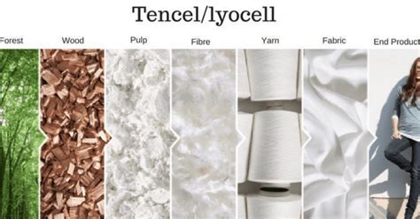  Tencel: Una fibra textil revolucionaria para una industria sostenible y de alto rendimiento!